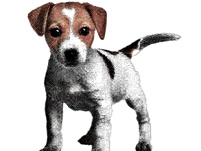 jack russell engraving